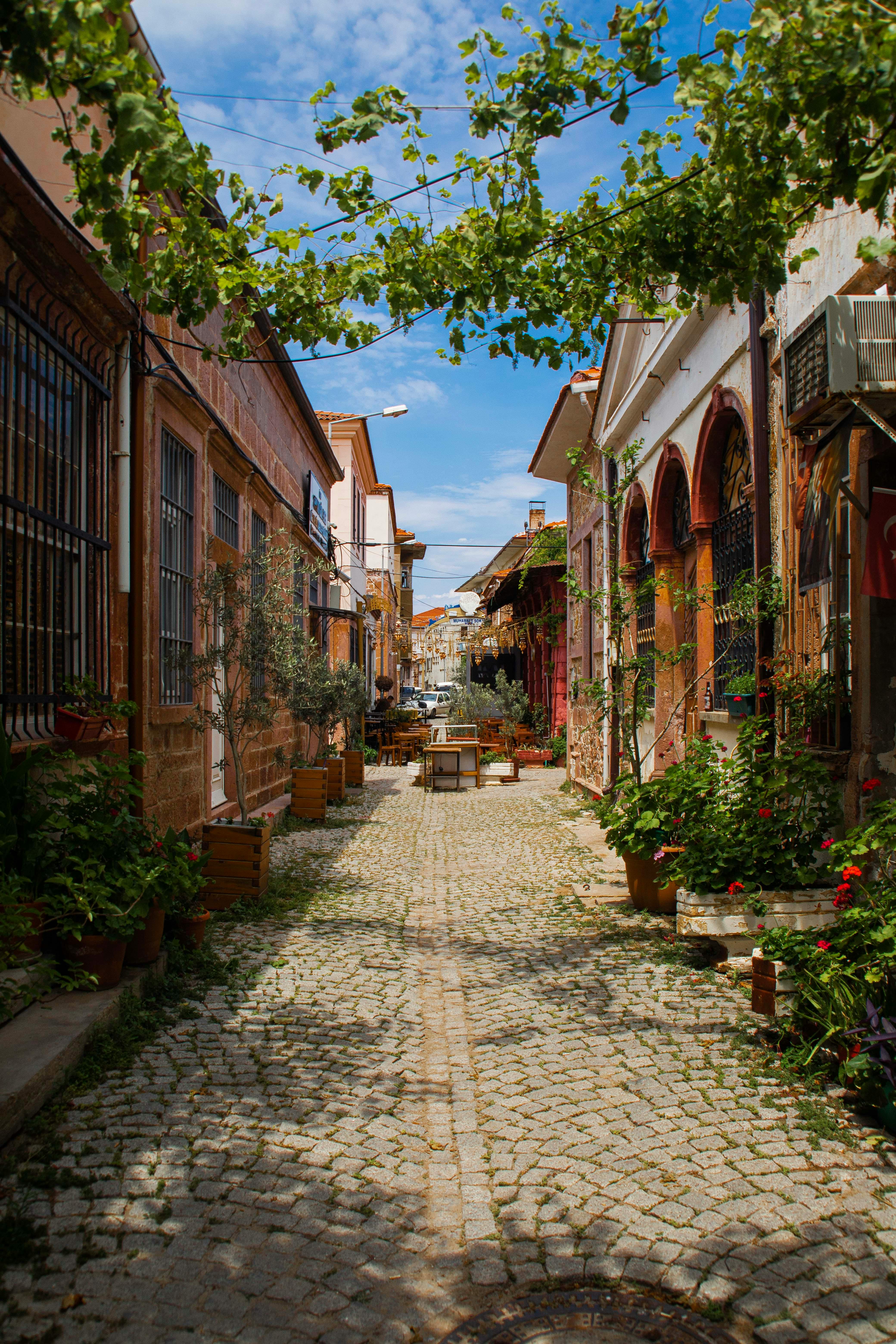 Ayvalık’ta Yazlık Fiyatları Mart’ta Neden Daha Avantajlı?